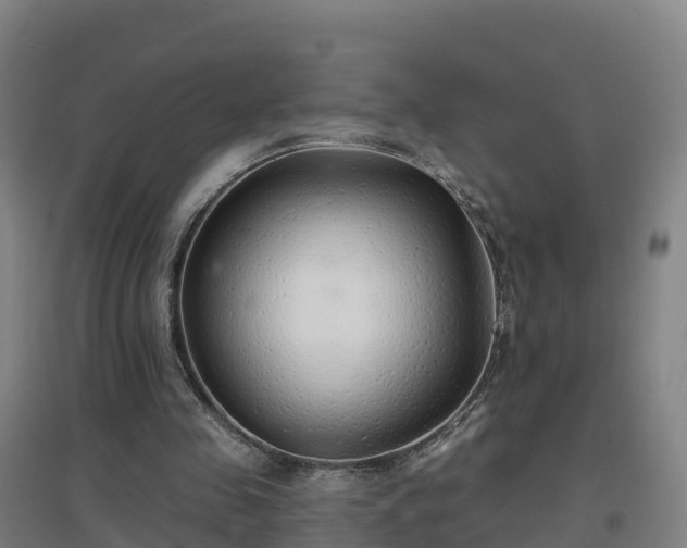 X0000096710341200802121230