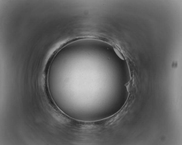 X0000096710342200802121230