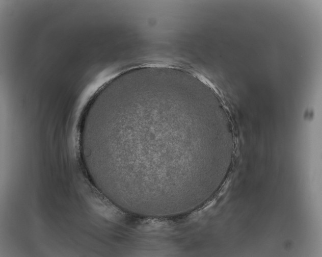 X0000096710343200802121230