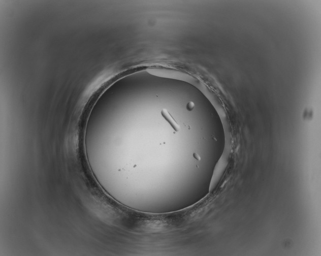 X0000096710344200802121230