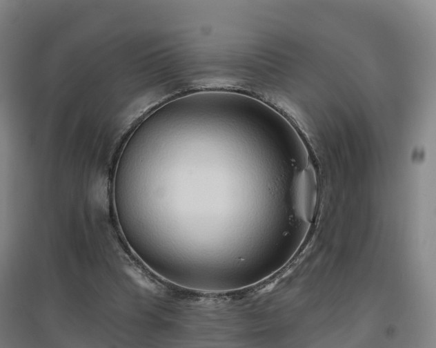 X0000096710345200802121230