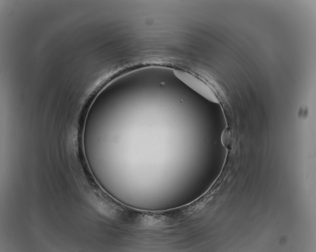 X0000096710346200802121230