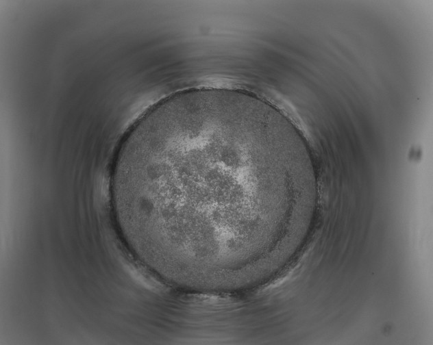 X0000096710347200802121230