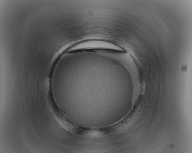 X0000096710348200802121230