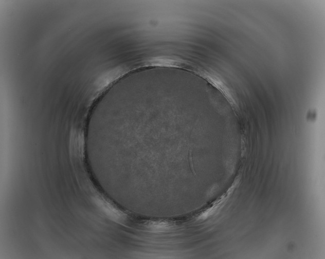 X0000096710349200802121230