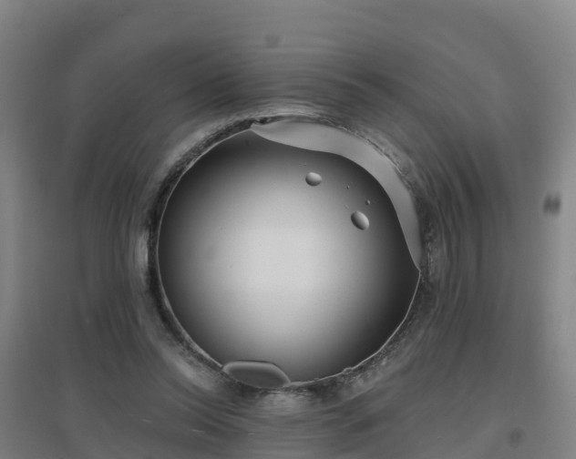 X0000096710350200802121230