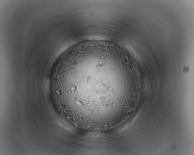 X0000096710351200802121230