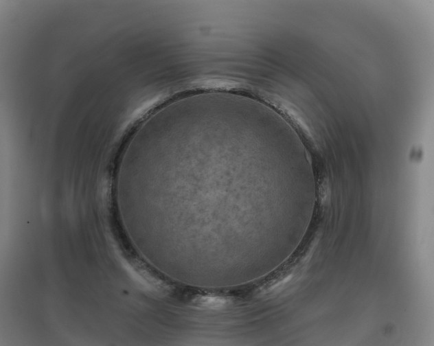 X0000096710352200802121230