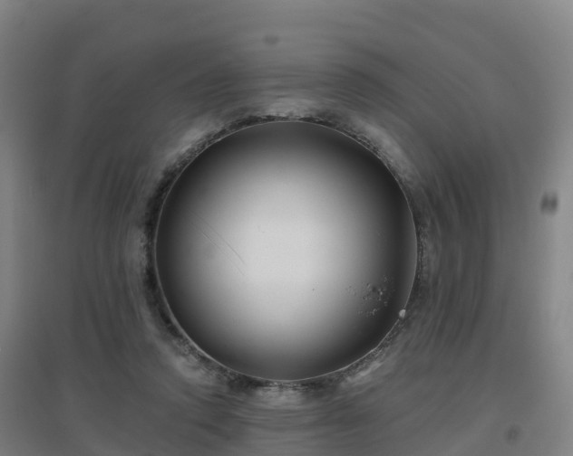 X0000096710354200802121230