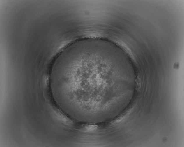 X0000096710355200802121230