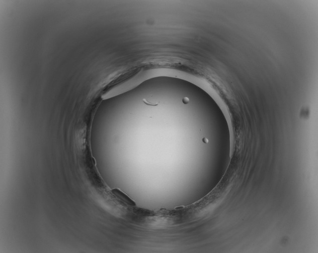 X0000096710356200802121230