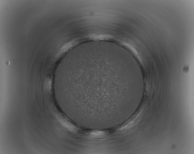 X0000096710357200802121230