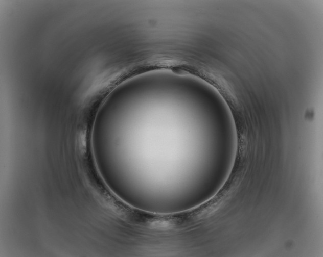 X0000096710358200802121230