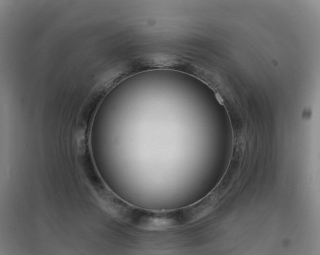 X0000096710360200802121230