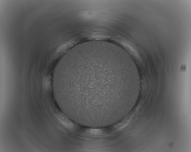 X0000096710361200802121230