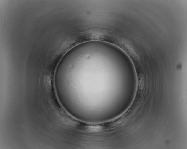 X0000096710363200802121230