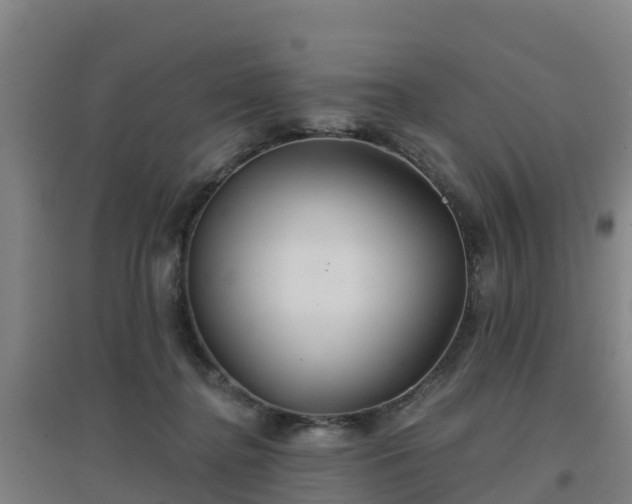 X0000096710364200802121230