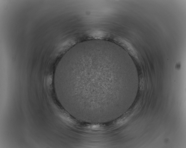 X0000096710365200802121230