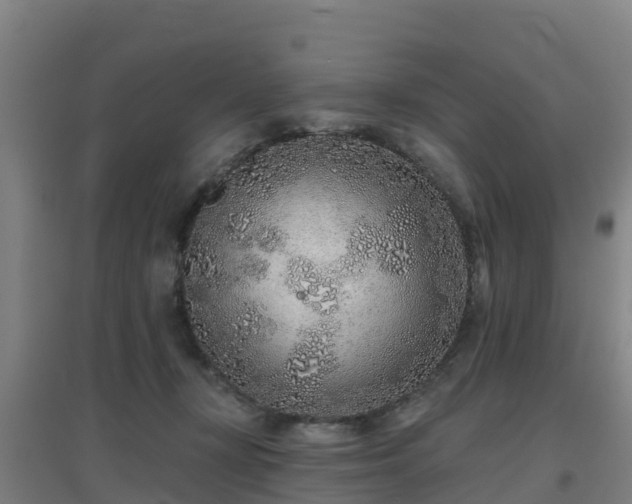 X0000096710367200802121230