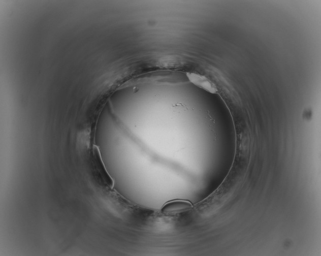 X0000096710368200802121230