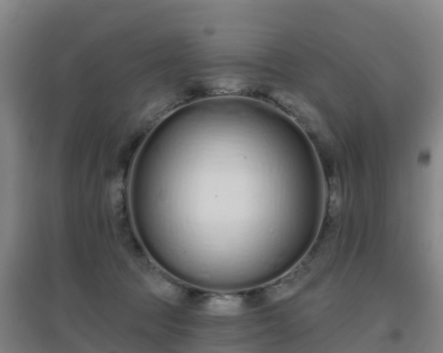 X0000096710369200802121230