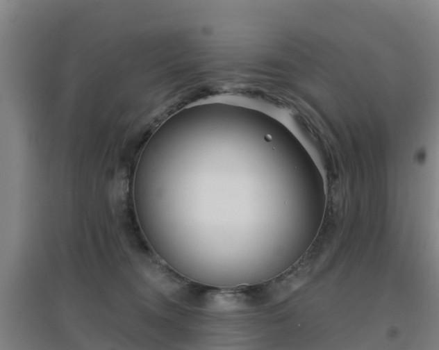 X0000096710372200802121230