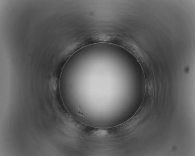 X0000096710374200802121230