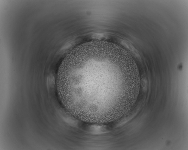 X0000096710375200802121230