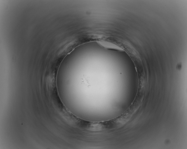 X0000096710376200802121230