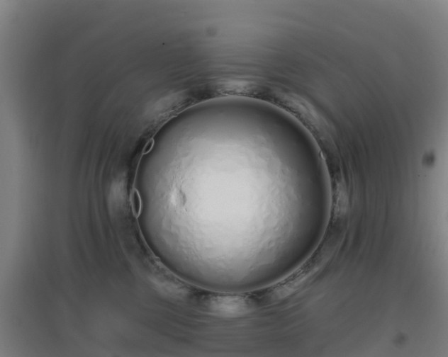 X0000096710377200802121230