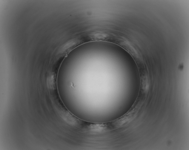 X0000096710378200802121230