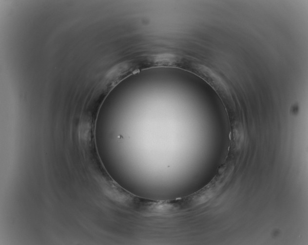 X0000096710379200802121230