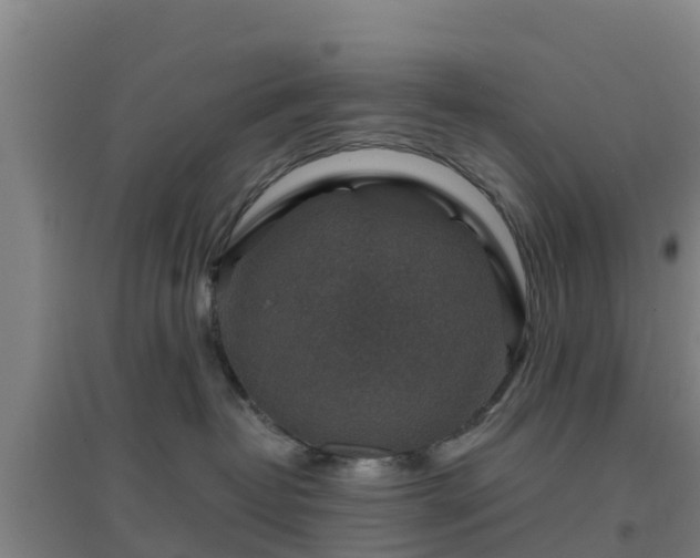 X0000096710382200802121230