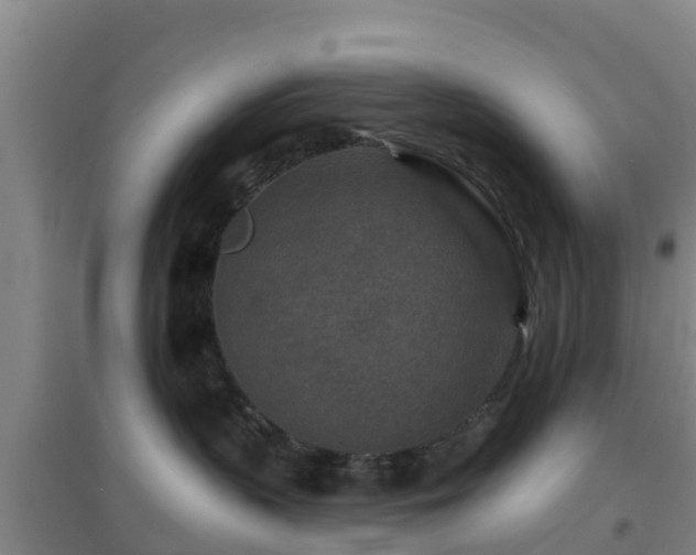 X0000096710383200802121230