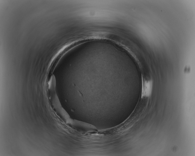 X0000096710387200802121230