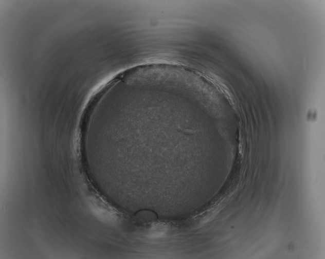 X0000096710388200802121230