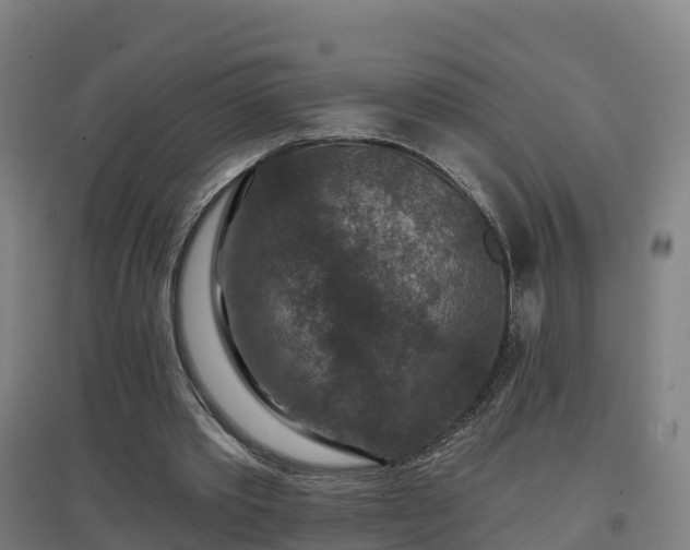 X0000096710389200802121230