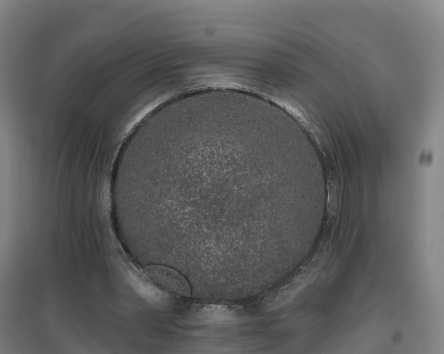 X0000096710390200802121230