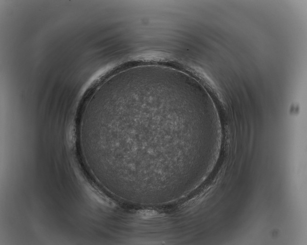 X0000096710392200802121230