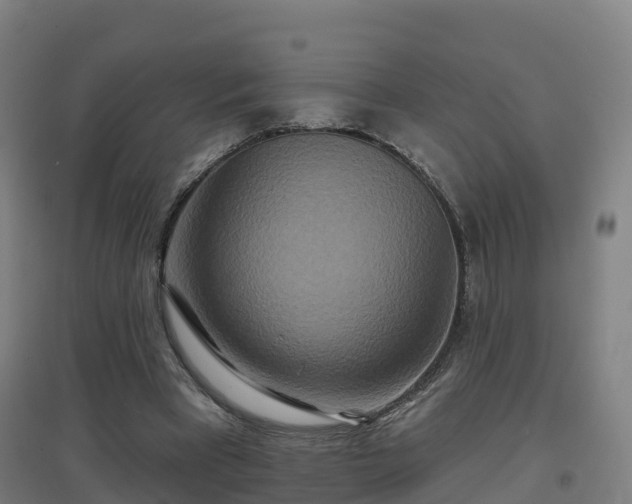 X0000096710393200802121230