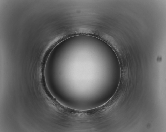 X0000096710395200802121230