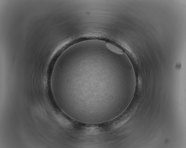 X0000096710396200802121230