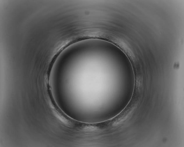 X0000096710397200802121230