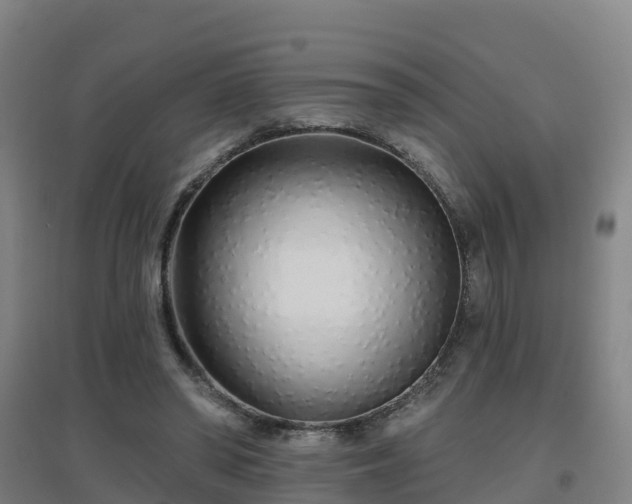 X0000096710398200802121230