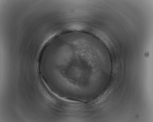 X0000096710399200802121230