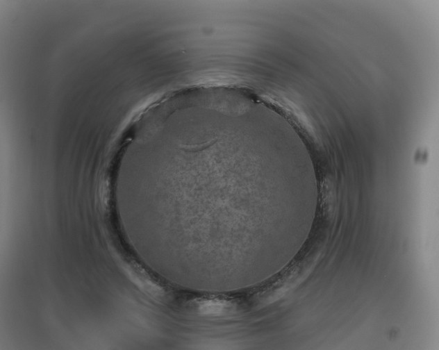 X0000096710400200802121230