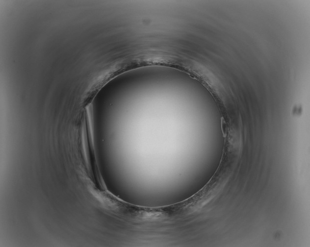 X0000096710401200802121229