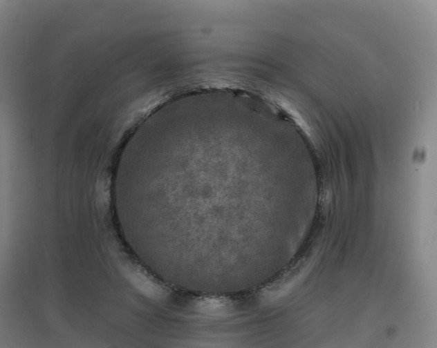 X0000096710402200802121229