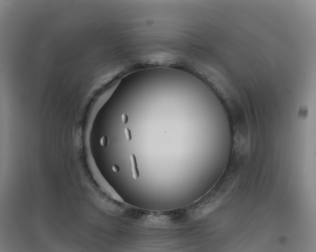 X0000096710403200802121229