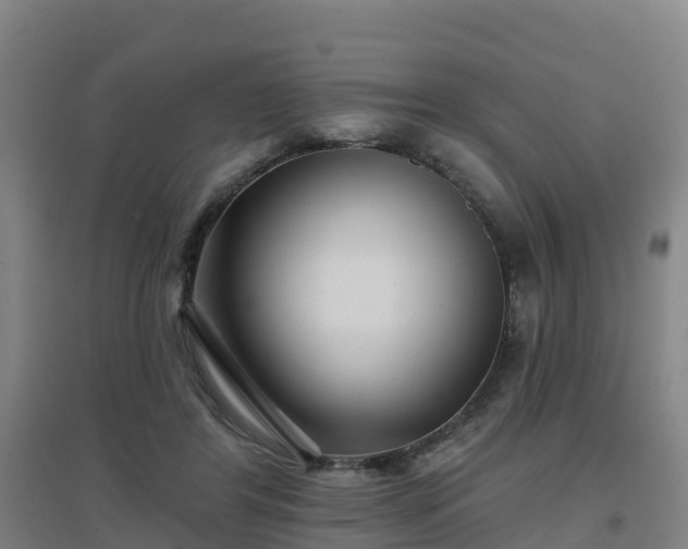 X0000096710404200802121229